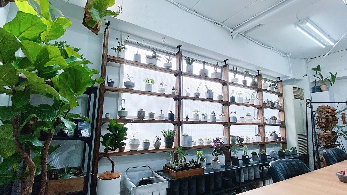 不器用でもしっかり準備で大規模DIY!観葉植物ディスプレイ棚のDIYレシピ