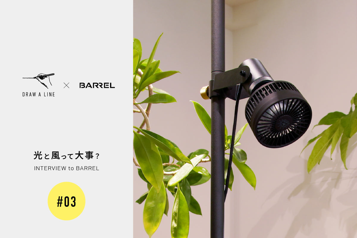 「サーキュレーターって観葉植物に本当に必要?」植物のプロにぜんぶ聞いてみた