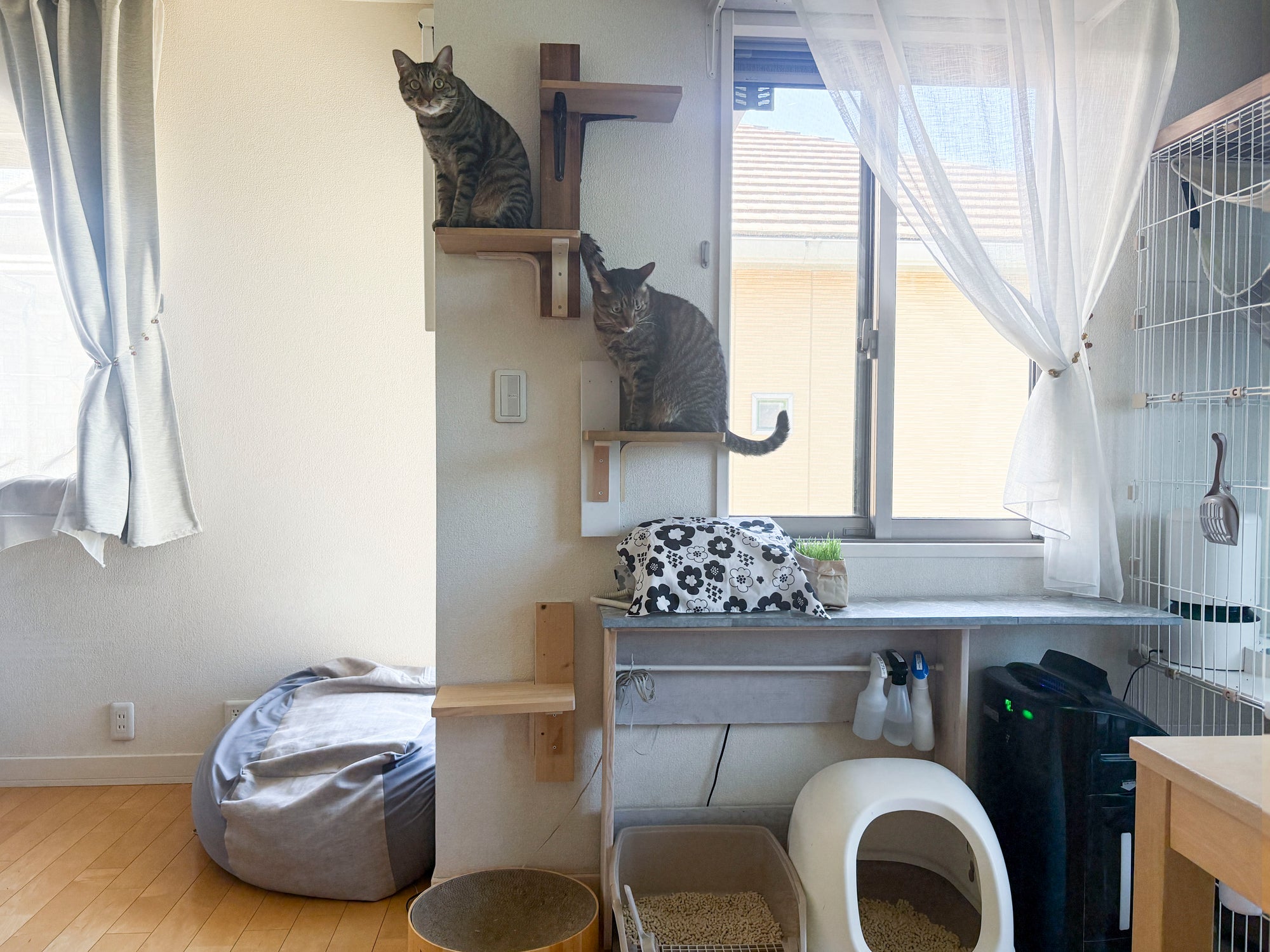 娘のデスクから猫の遊び場へ、変化を遂げるキャットタワー