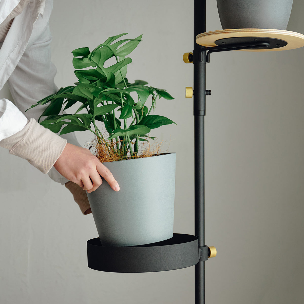 もっとモリモリツリーSET Black 取付寸法200~300cm SET-D-MMT-BK