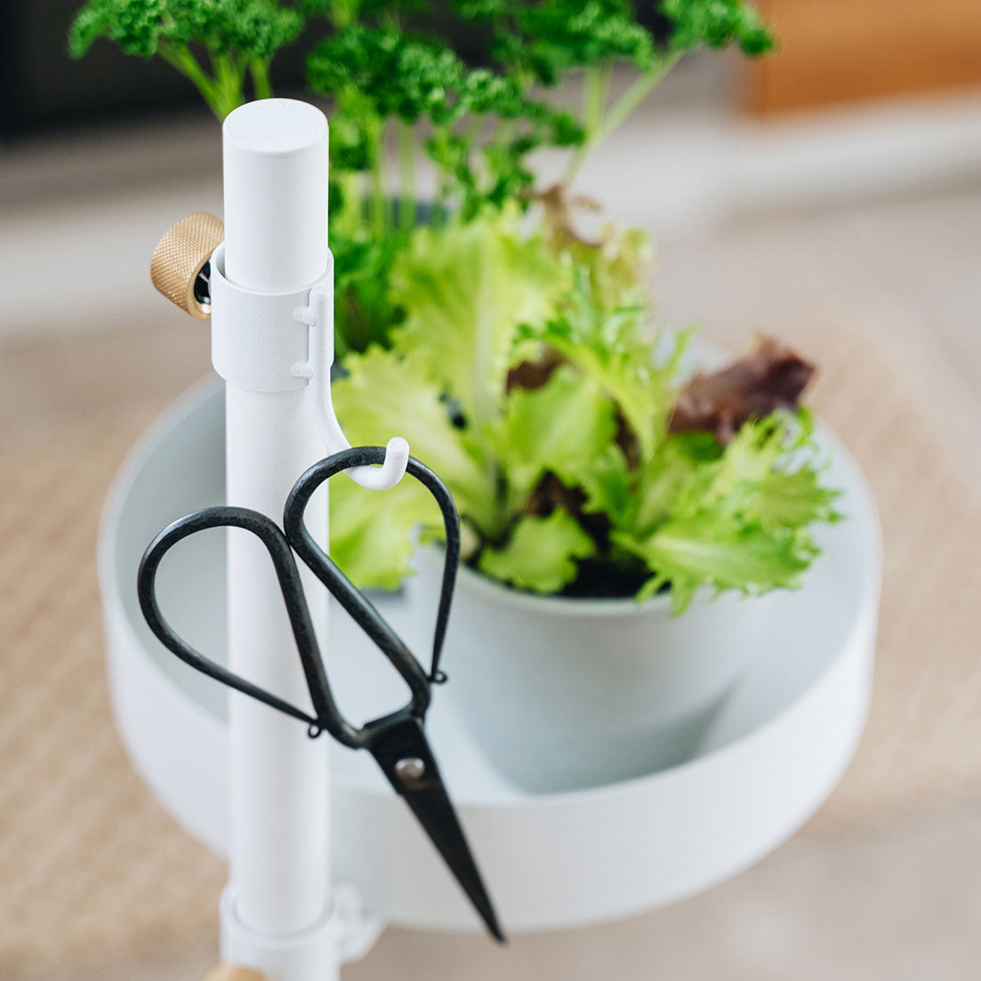 うごくプランターラック Jフック HookA SET White SET-D-MR1-WH