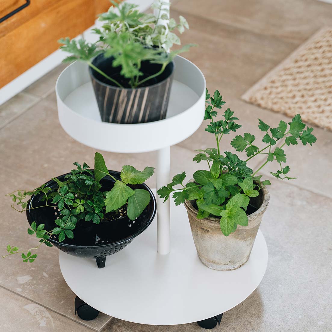 うごくプランターラック Jフック HookA SET White SET-D-MR1-WH