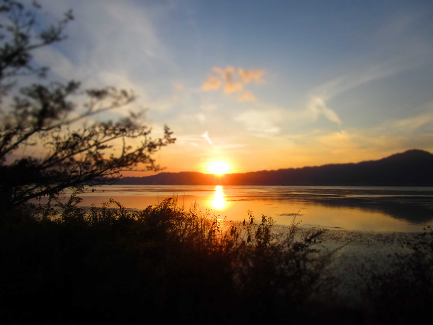 滋賀に行って脳みそ洗った話