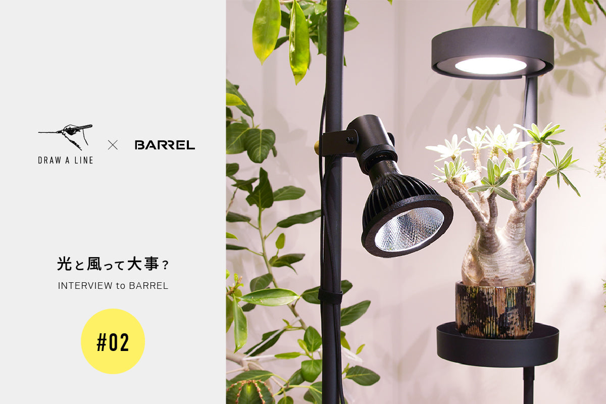 【BARREL×平安伸銅工業】「育成ライトって観葉植物に本当に必要？」植物のプロに全部聞いてみた