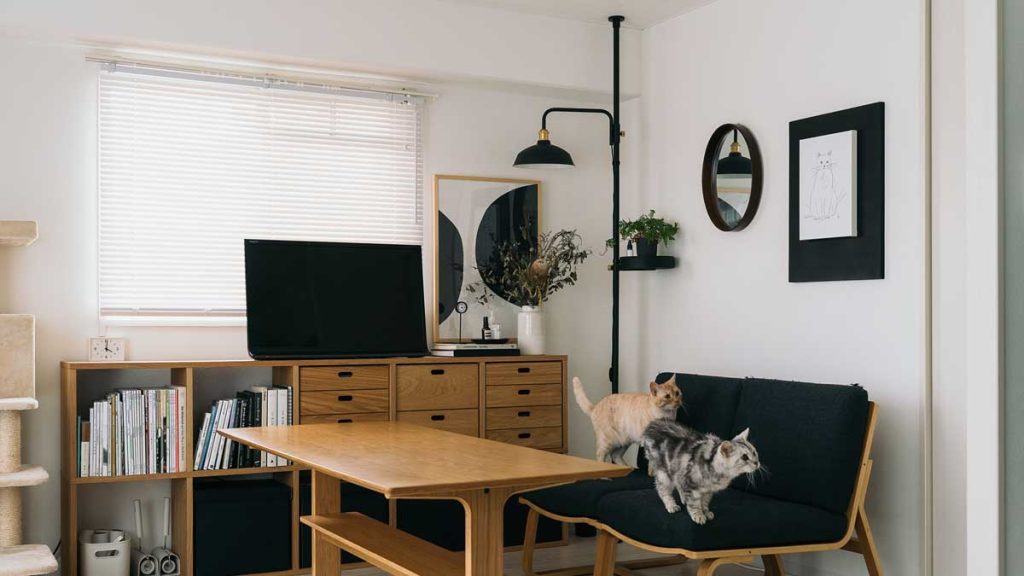 猫と植物とDRAW A LINE