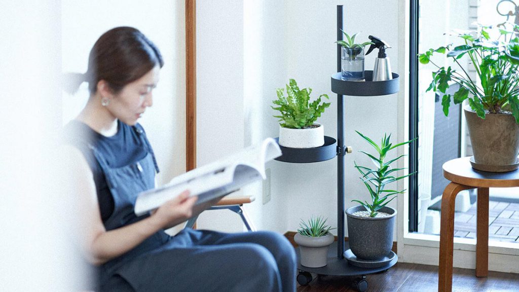 植物とDRAW A LINE #1 直線と曲線で暮らしをデザインする