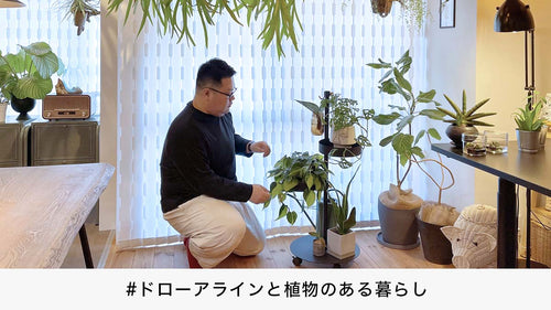 インテリアスタイリストに聞いた、植物に関する5つのQ&A