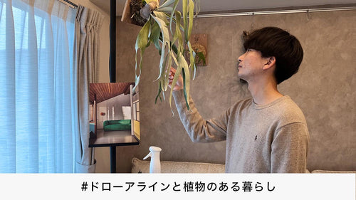 植物専門ブロガーに聞いた、植物に関する5つのQ&A