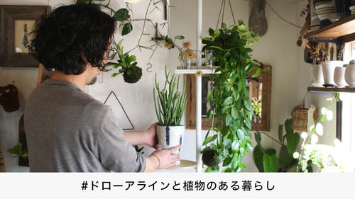 植物専門店「Ricca」店主に聞いた、植物に関する5つのQ&A