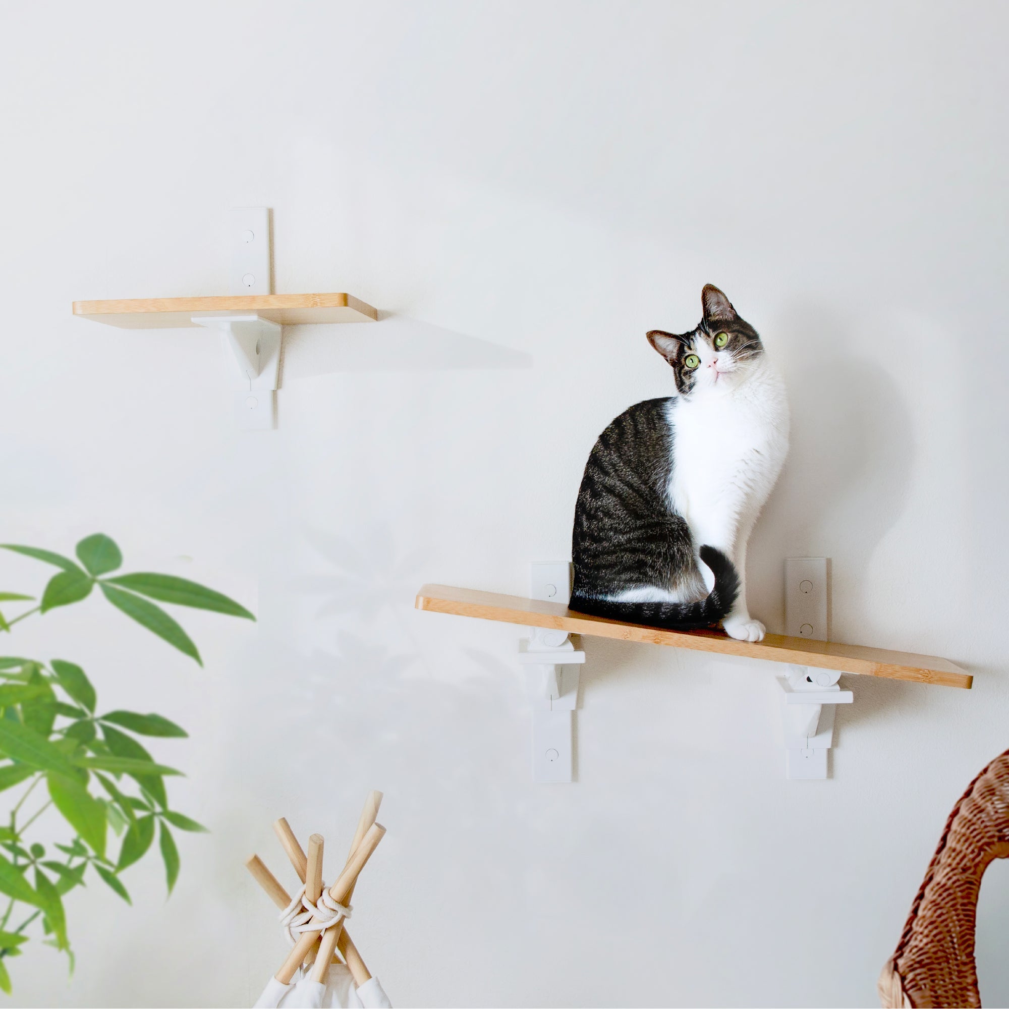 CAT FREELY（キャットフリーリー）- 賃貸にやさしい木製キャットウォーク・キャットステップ