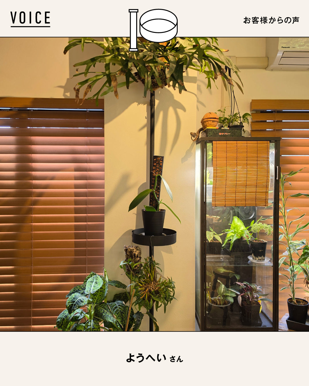 Q.あなたはだれですか？	 A.	植物だらけのリビングで生活しているスマホアクセサリー会社の代表 ーーー	 Q.お...（1/2）
