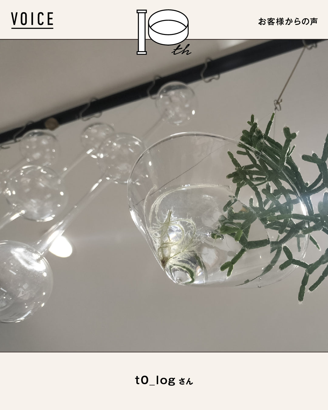 Q.あなたはだれですか？	 A.	パン作り•お菓子作りが大好き！植物を暮らしに取り入れつつ、自分の好きを楽しんでい...（1/2）