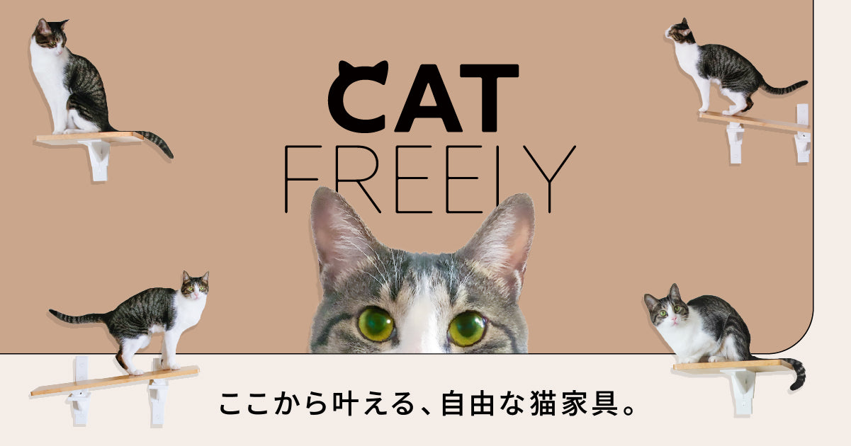 キャットステップ＆ウォーク【CAT FREELY（キャットフリーリー）】By