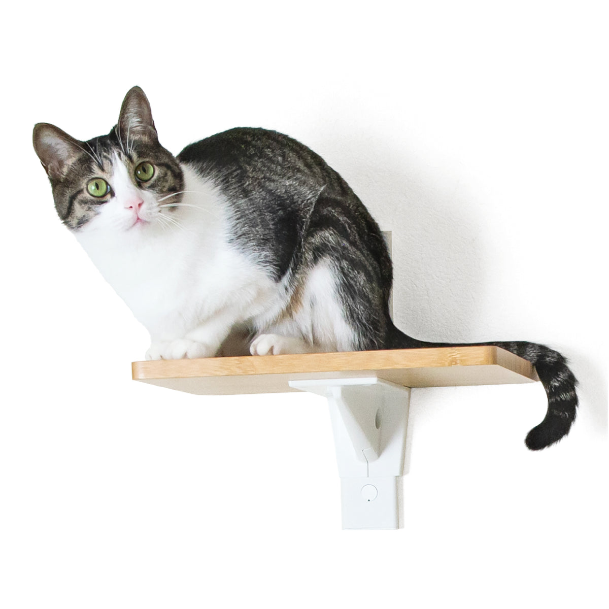 【予約販売】キャットステップ ホワイト CFL-1WH【4/28以降発送予定】