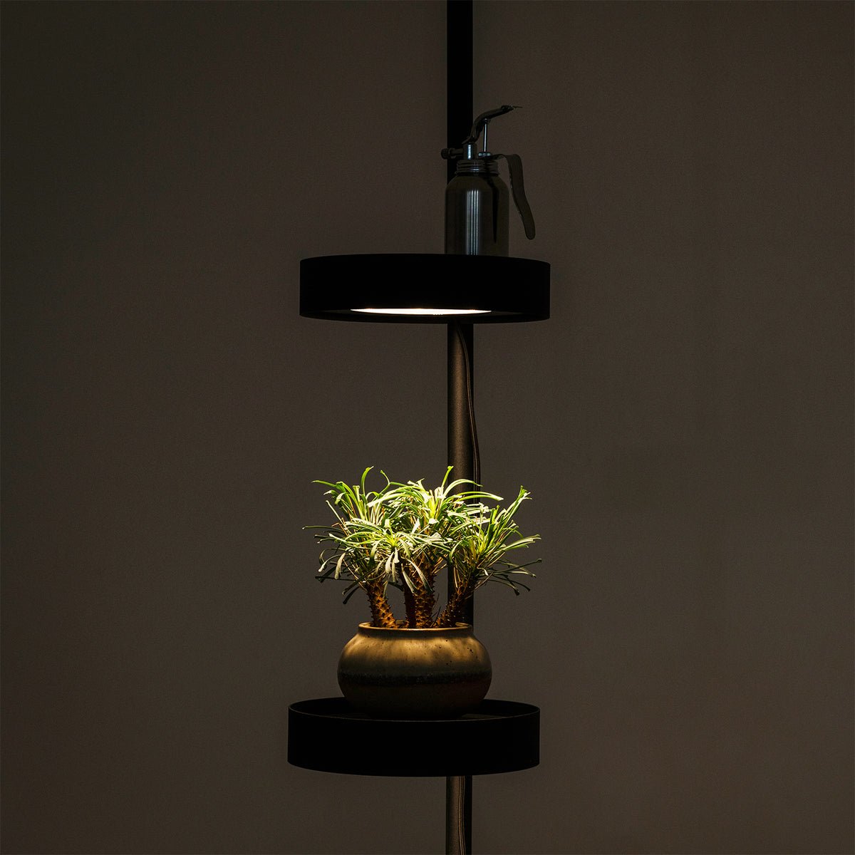 植物育成ステージ SET-BK-CTL