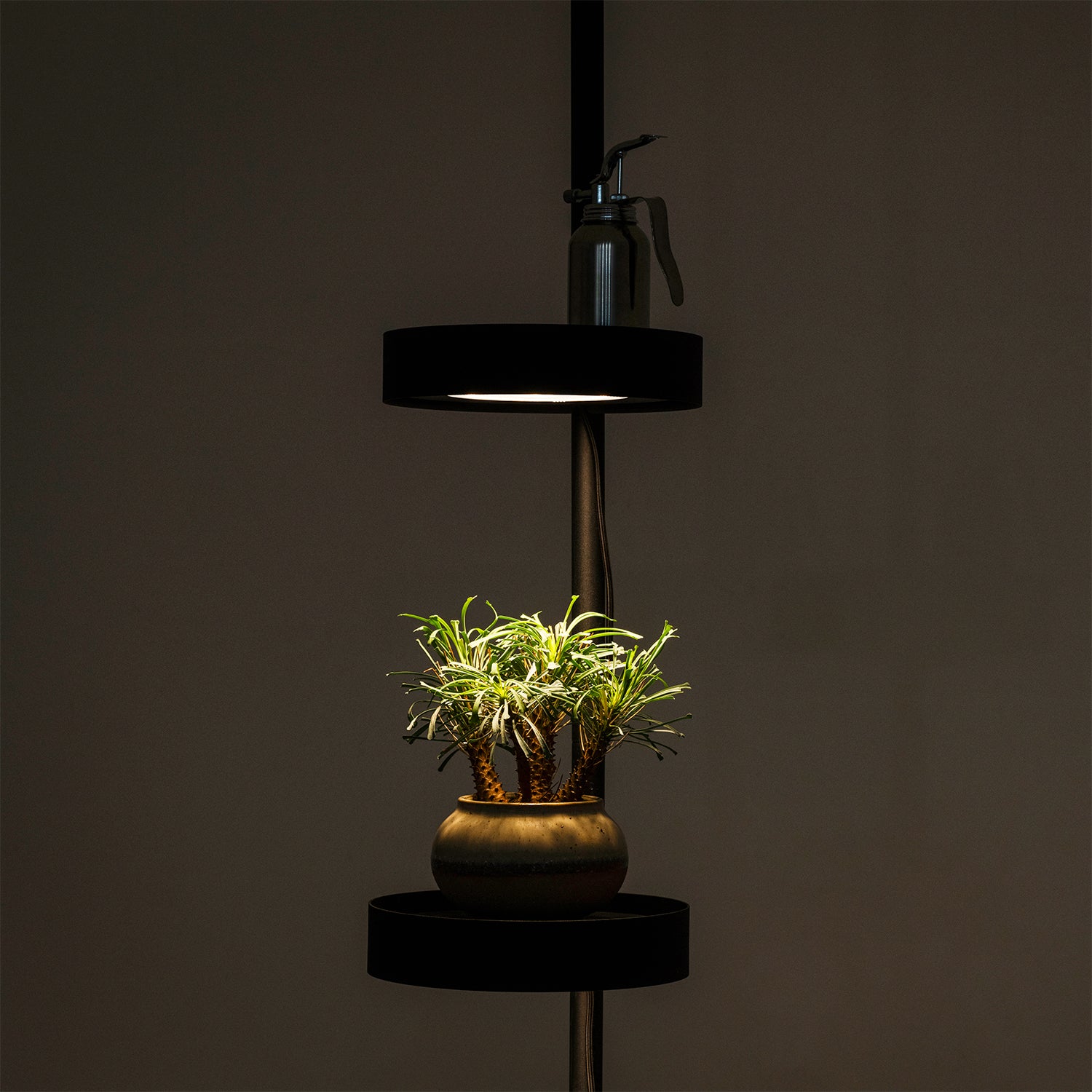 植物育成ステージ SET-BK-CTL