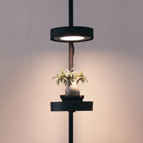 植物育成ステージ SET-BK-CTL