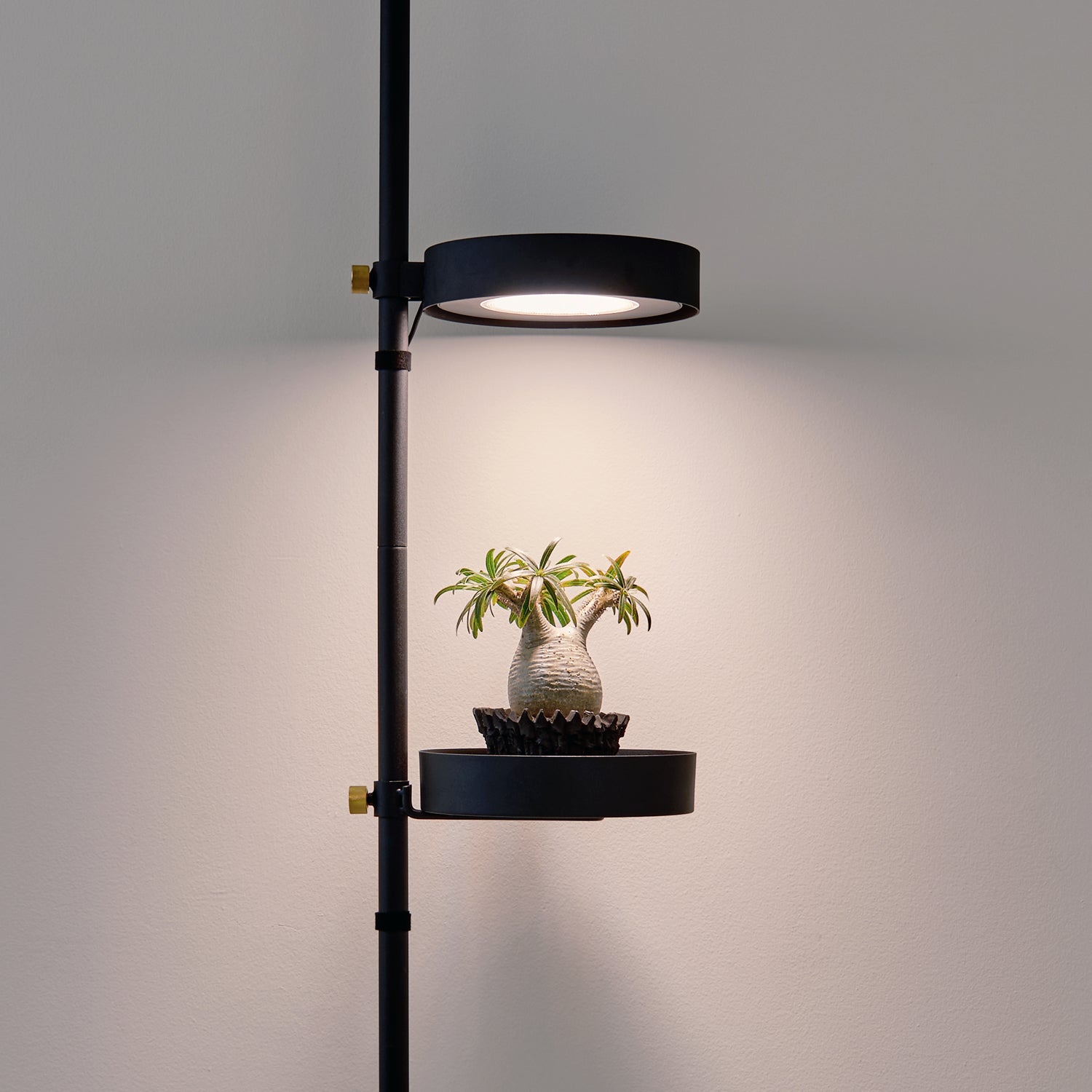 Tray Light Black 縦取付 D-TL-BK