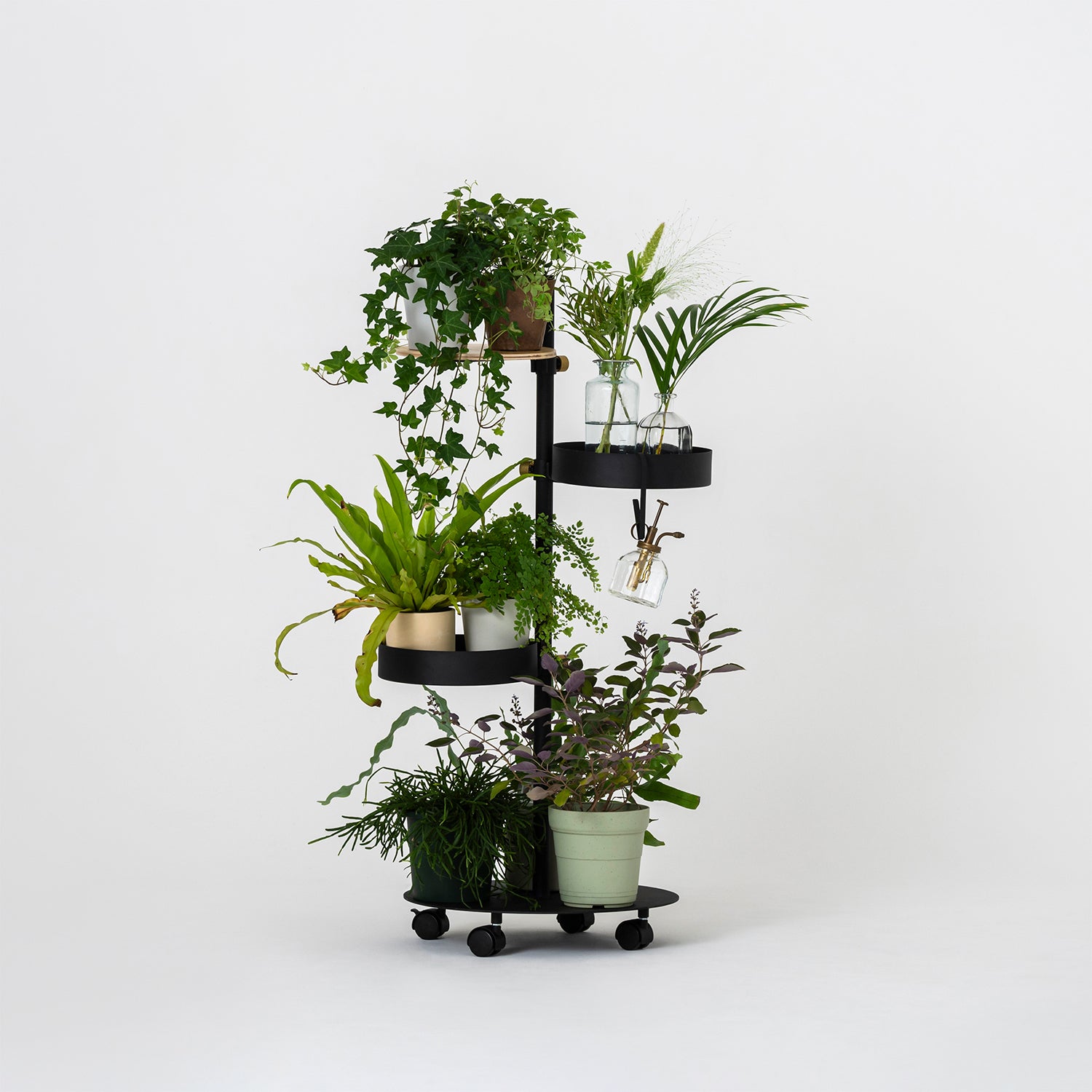 植物スポット SET-D-PLS-BK