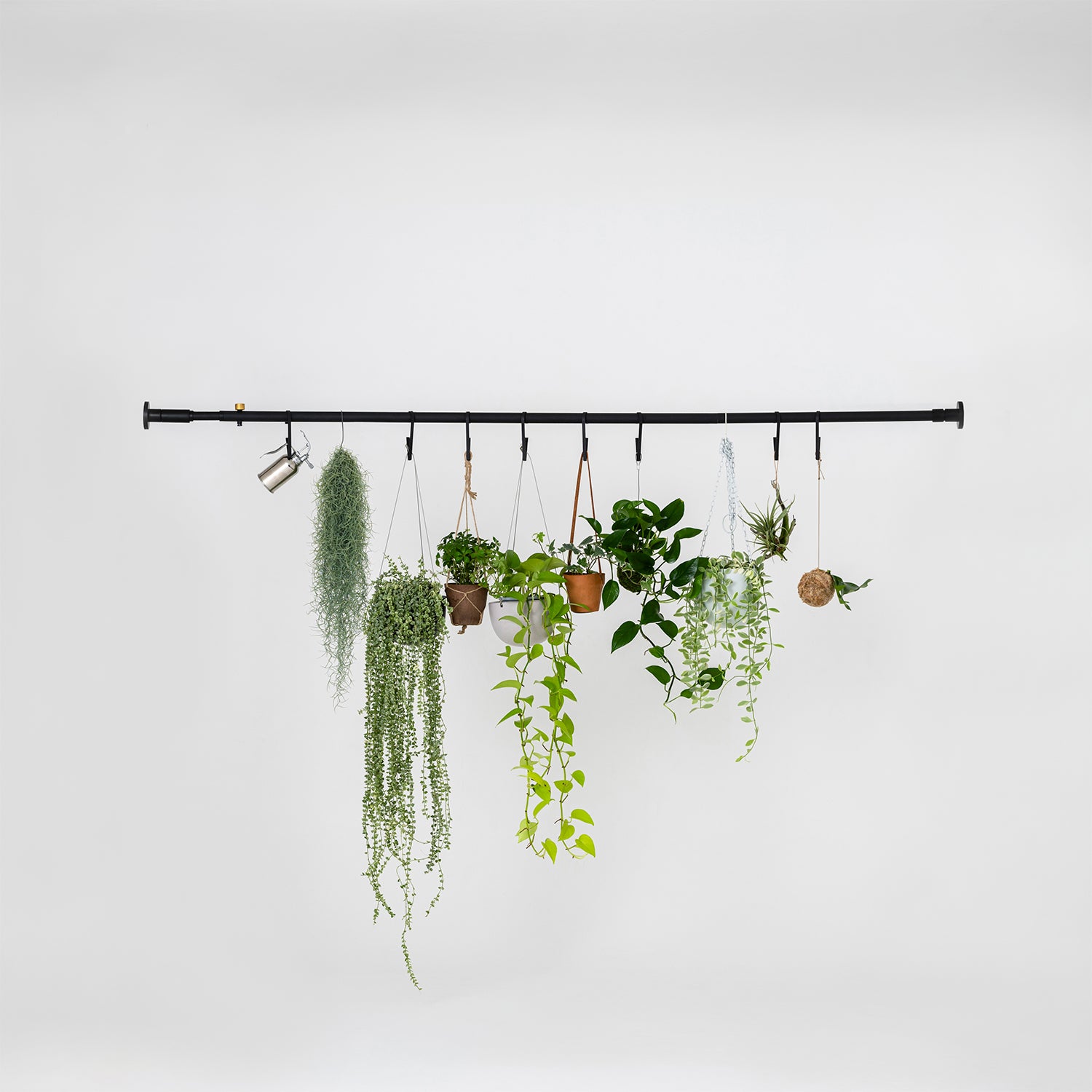 植物パーテーション - CLIP HOOK SET-D-PPB-BK