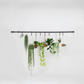 植物パーテーション - CLIP HOOK SET-D-PPB-BK
