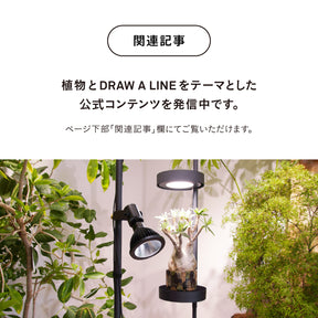 光と風のタテの線 SET-BK-CSO