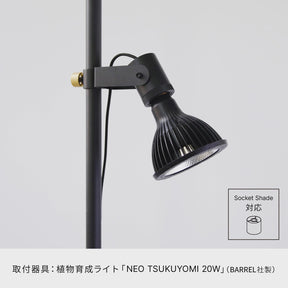 光と風のタテの線 SET-BK-CSO