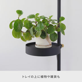 植物育成ステージ SET-BK-CTL