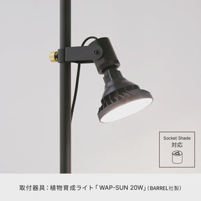 光と風のタテの線 SET-BK-CSO