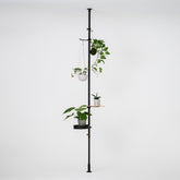 モリモリツリー SET Black 取付寸法200～275cm SET-BASE2-BK