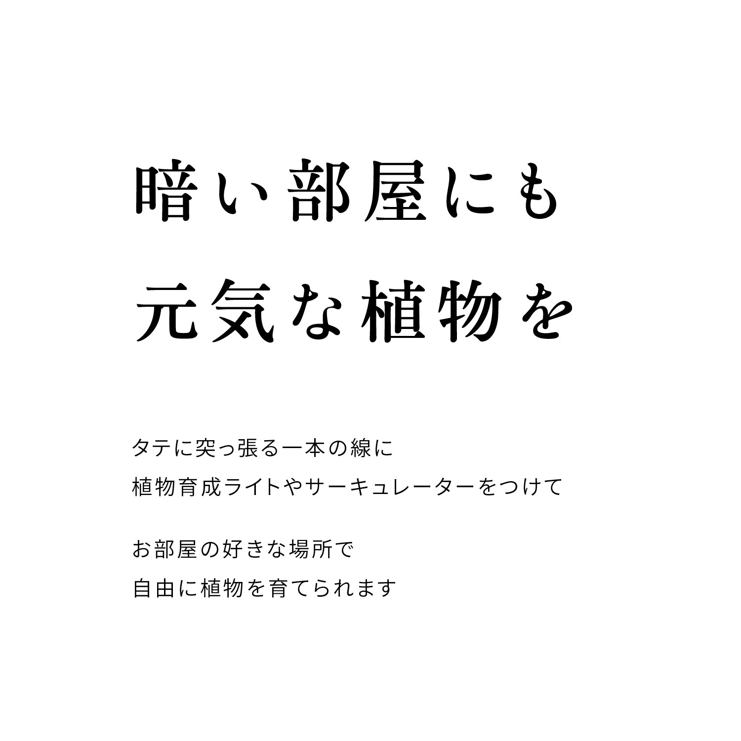 光と風のタテの線 SET-BK-CSO