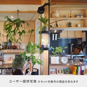 光と風のタテの線 SET-BK-CSO