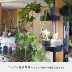 光と風のタテの線 SET-BK-CSO
