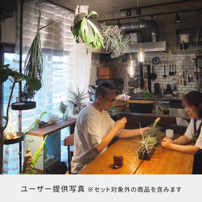 光と風のタテの線 SET-BK-CSO