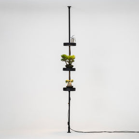 植物育成ステージ SET-BK-CTL