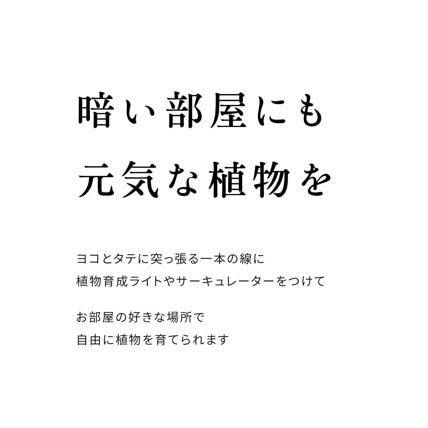 光と風のヨコの線 SET-BK-PSO