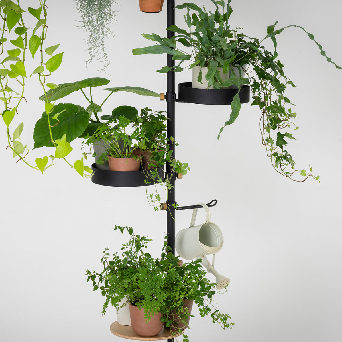 植物ハンギングスタンド SET-D-PHS-BK
