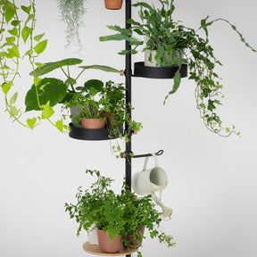 植物ハンギングスタンド SET-D-PHS-BK