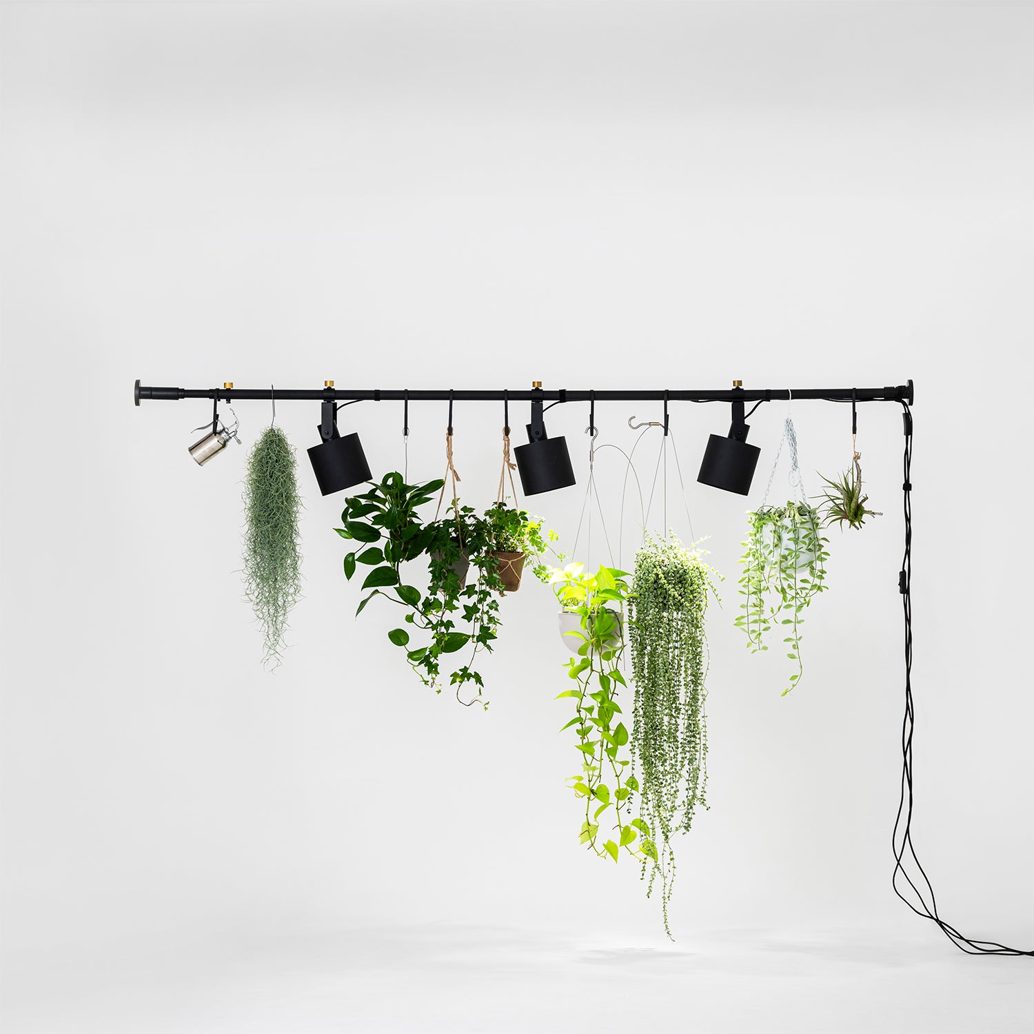 植物パーテーション - SOCKET SET-D-PPA-BK