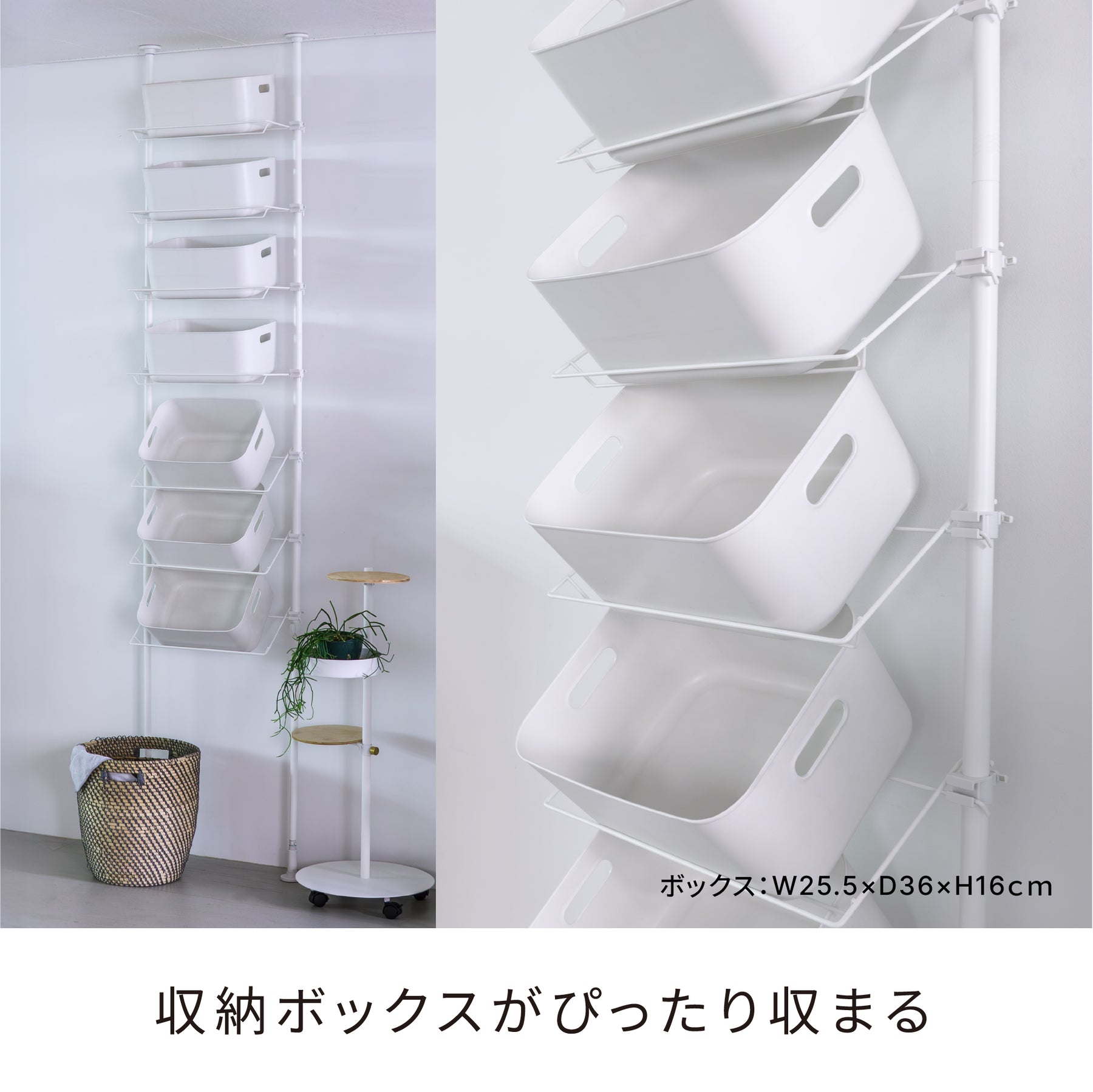 突っ張りシューズラック マットホワイト 16足用 幅57cm 高さ190〜300cm TSR-57WH