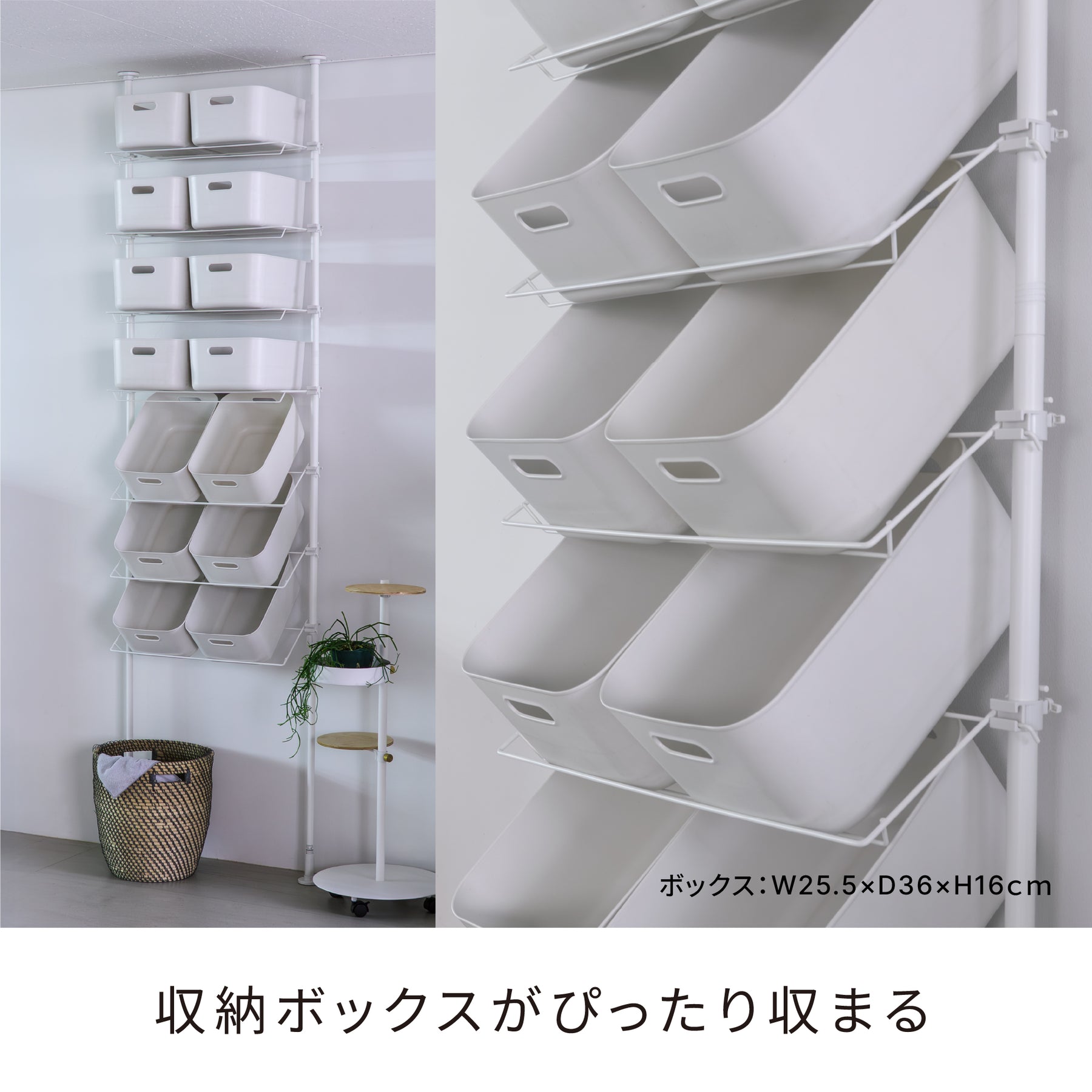 突っ張りシューズラック マットホワイト 24足用 幅72cm 高さ190〜300cm TSR-72WH